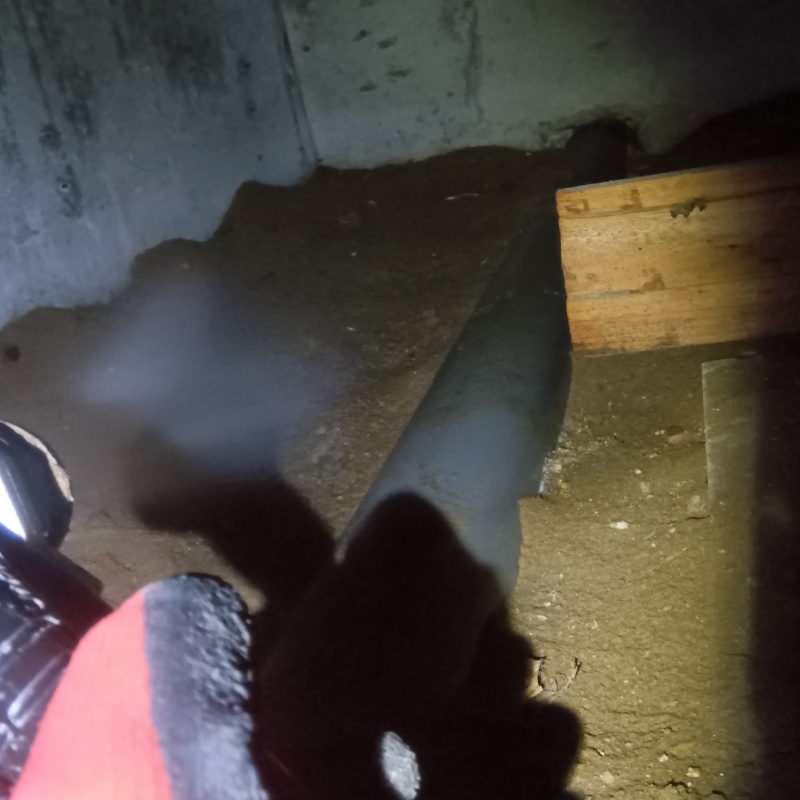 地面にシロアリ駆除剤を散布