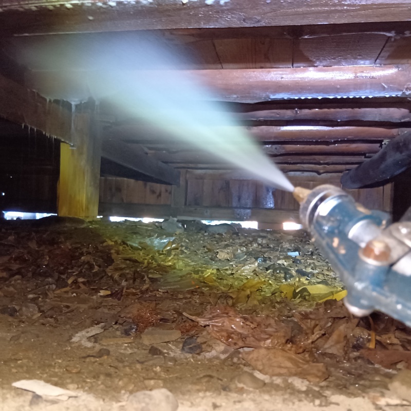 床下の木材にシロアリ駆除剤を散布