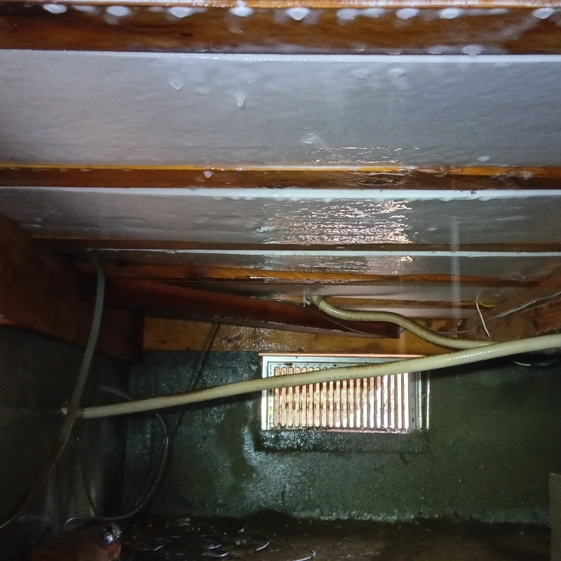 木材に防蟻剤を散布したあとの様子