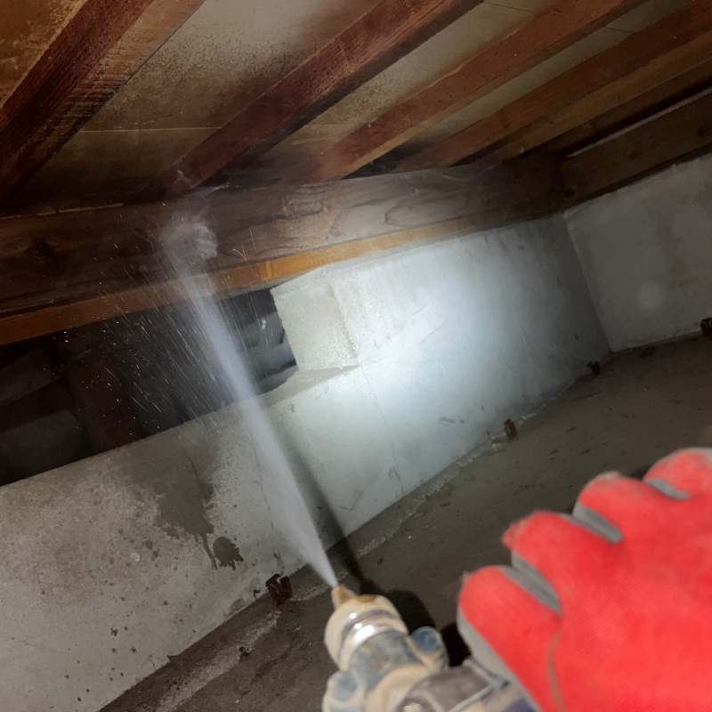 床下の木材にシロアリ駆除剤を散布