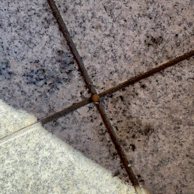 薬剤注入後の様子