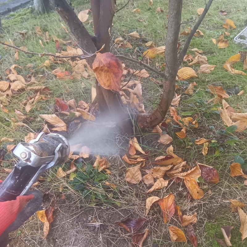 築年数28年のシロアリ駆除の施工事例（新潟県北蒲原郡聖籠町諏訪山）