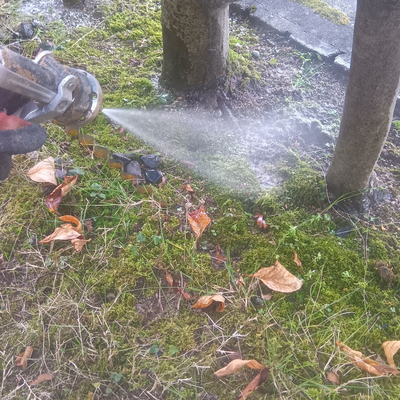 庭の土壌にシロアリ駆除剤を散布