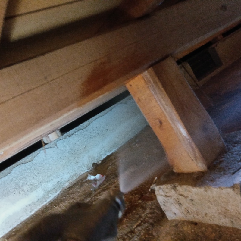 束柱にシロアリ駆除剤を散布