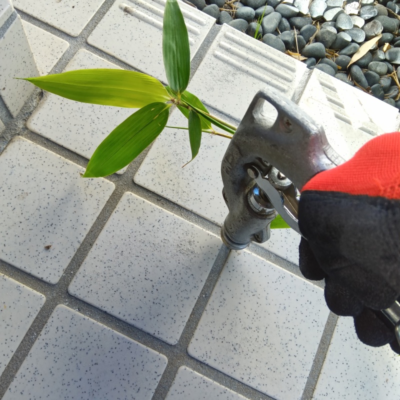 床に穴を開けてシロアリ駆除剤を注入