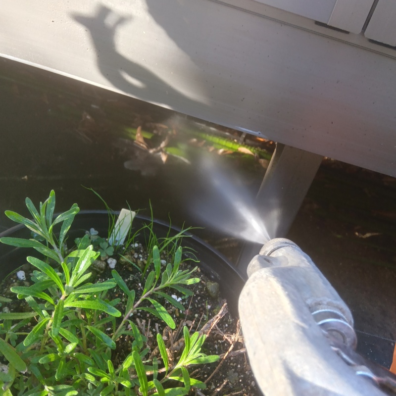 屋外の土壌にシロアリ駆除剤を散布