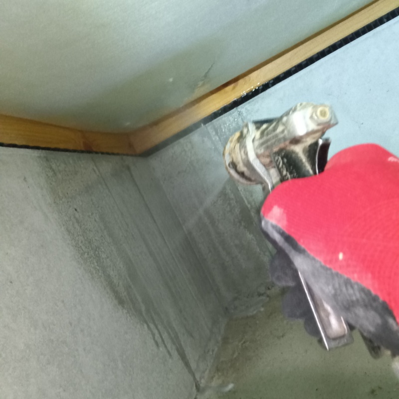 土台付近に防蟻剤を散布