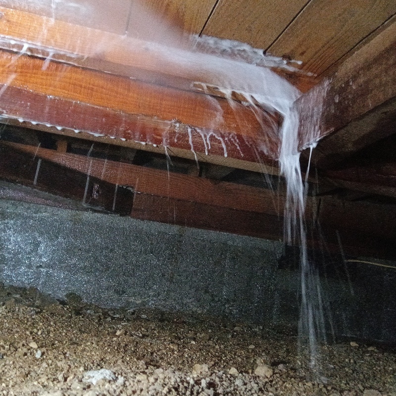 床下の木材にシロアリ駆除剤を散布