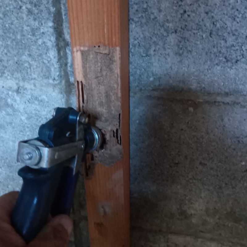 木部に穴を開けてシロアリ駆除剤を注入