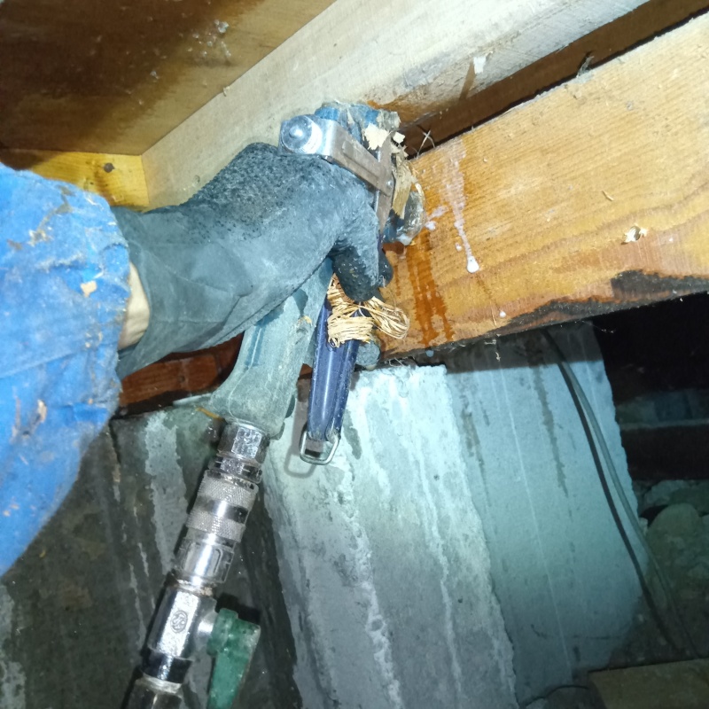 木材に穴を開けてシロアリ駆除剤を注入