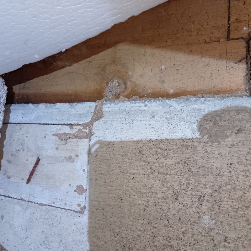 土台に作られたシロアリの蟻道