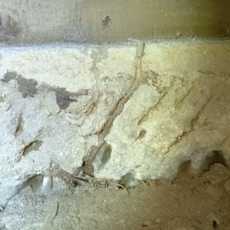 土台に作られたシロアリの蟻道