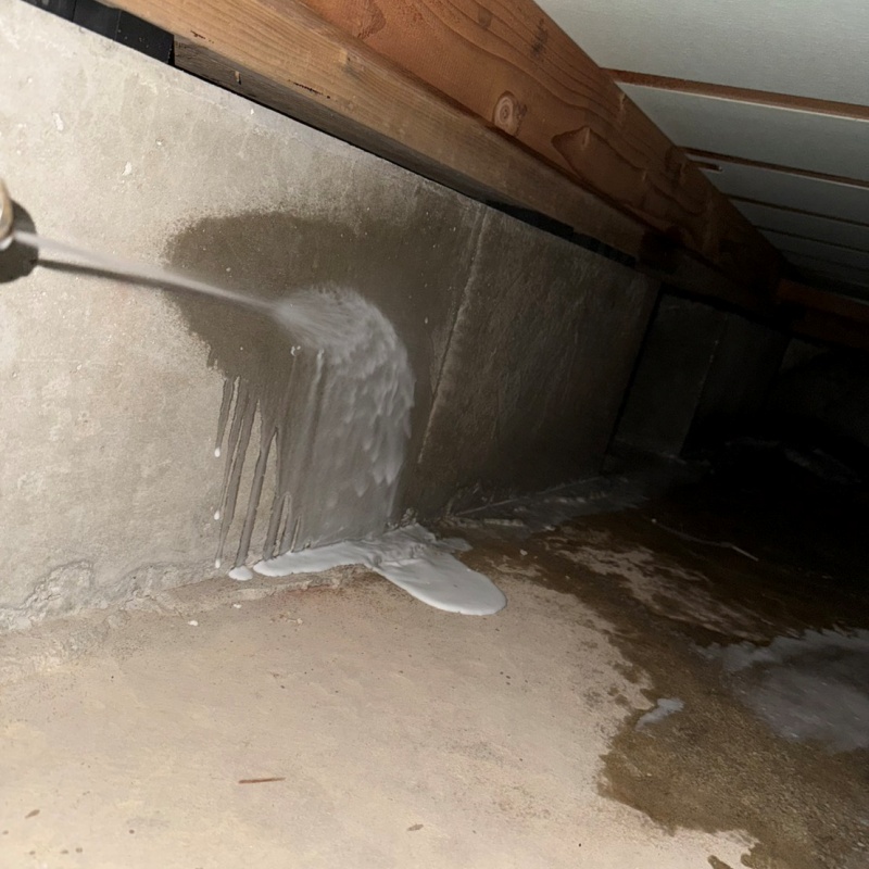 土台付近に防蟻剤を散布