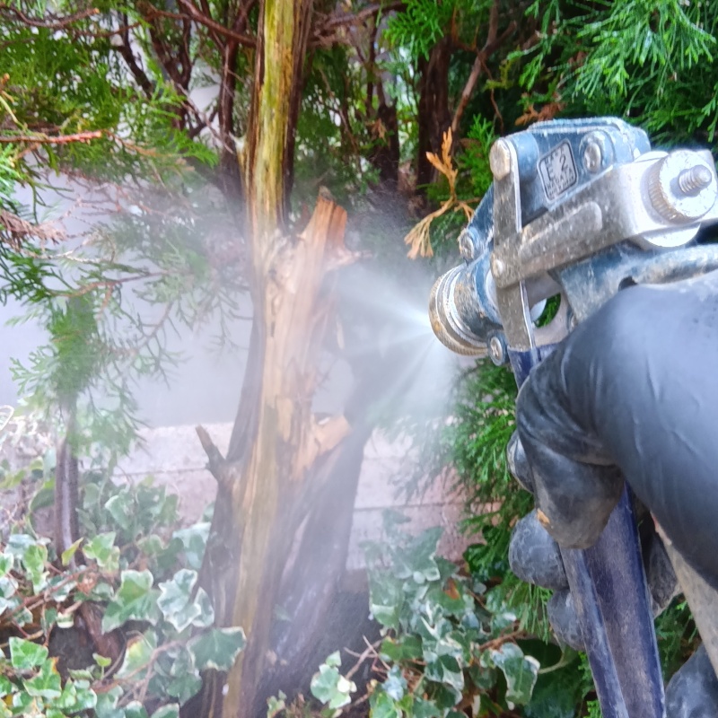 庭木にシロアリ駆除剤を散布