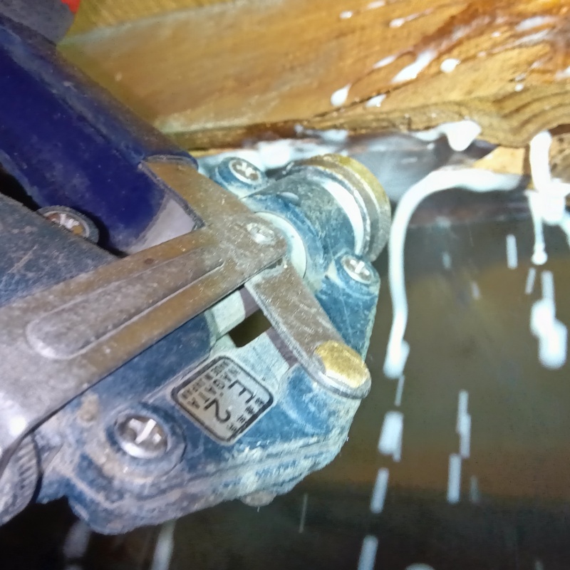 食害を受けた木部にシロアリ駆除剤を注入