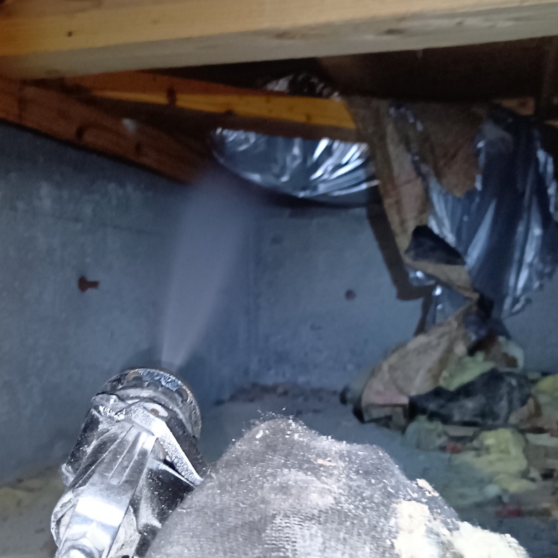 床下の木材にシロアリ駆除剤を散布