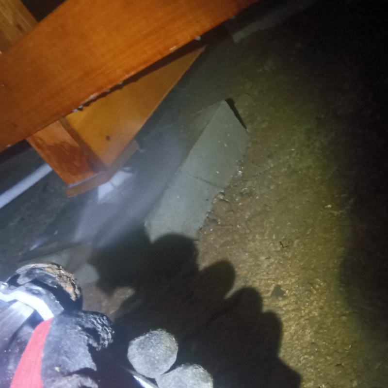 束石にシロアリ駆除剤を散布