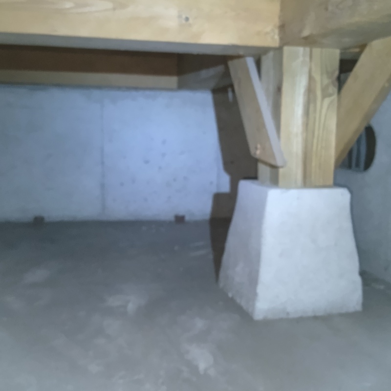 地面への薬剤散布が完了した様子