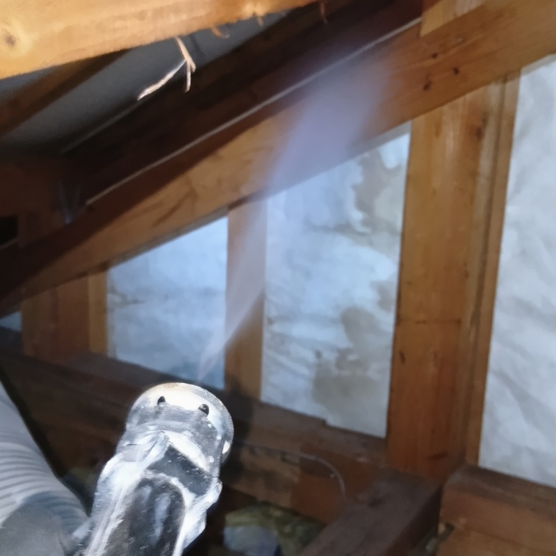 屋根裏にシロアリ駆除剤を散布