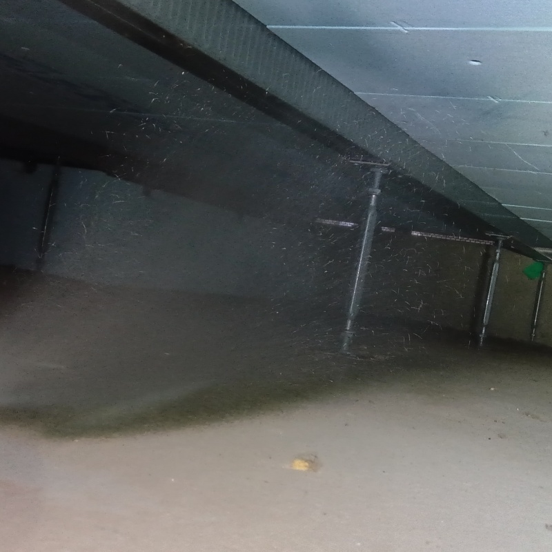 断熱材に防蟻剤を散布