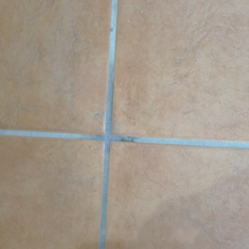 穴を開けた箇所を修復した様子