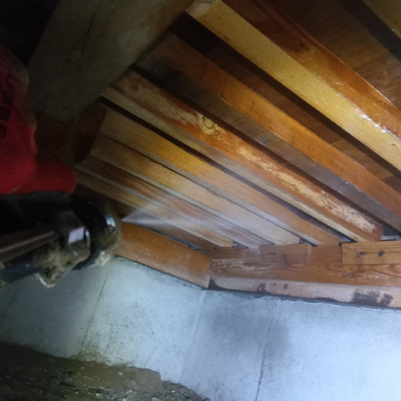 床下の木材にシロアリ駆除剤を散布