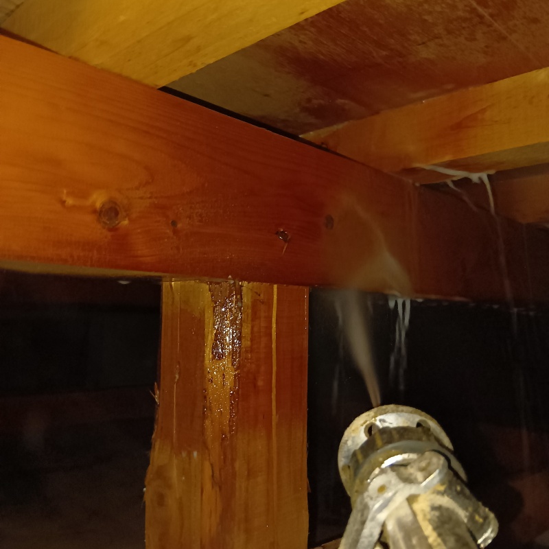 床下の木材にシロアリ駆除剤を散布