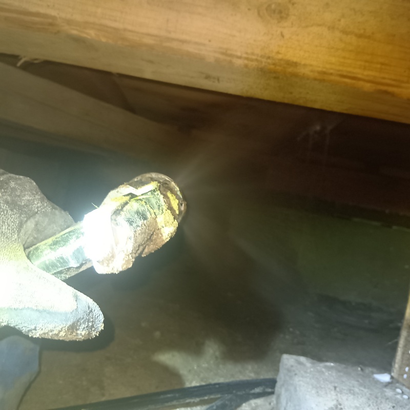 床下の木材にシロアリ駆除剤を散布