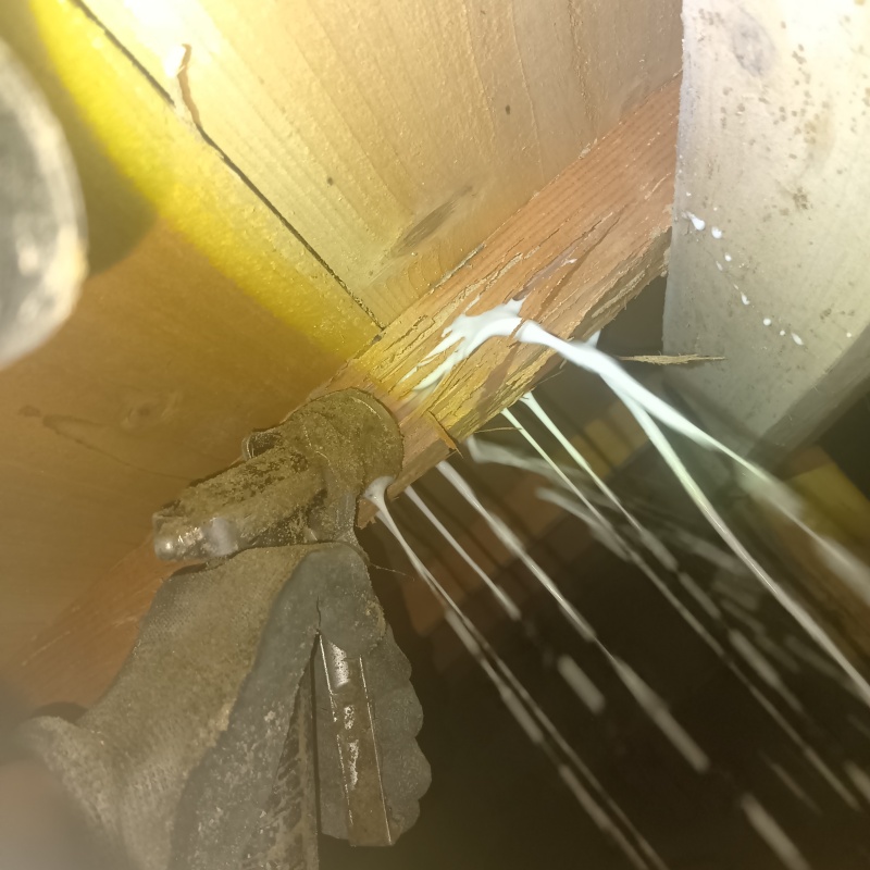 木材にシロアリ駆除剤を注入