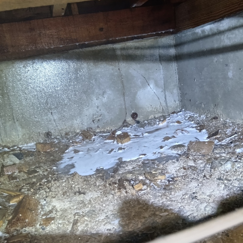 土壌処理が完了した様子