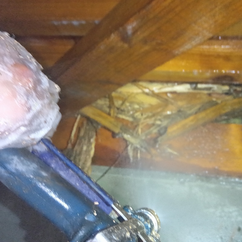 床下の木材にシロアリ駆除剤を散布