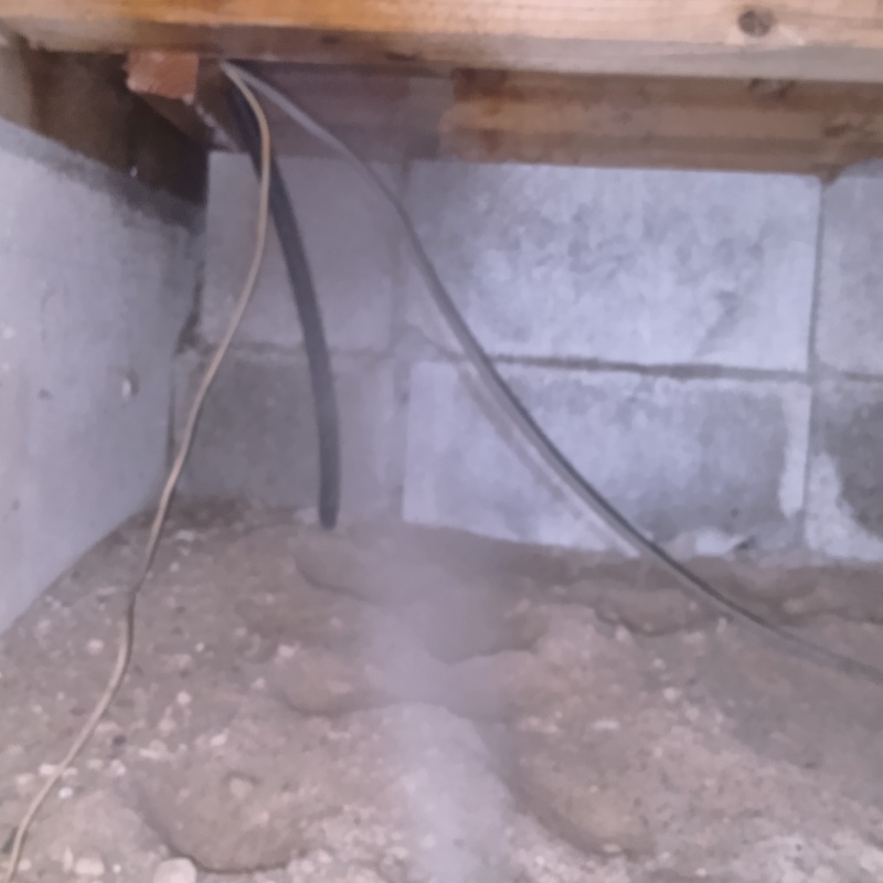 床下の木材にシロアリ駆除剤を散布