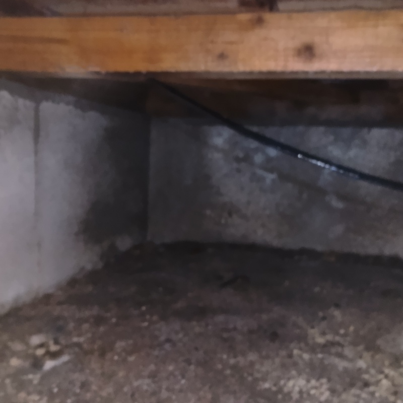 土壌処理が完了した様子