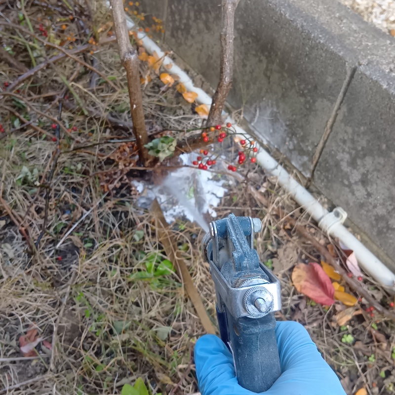 庭の土壌にシロアリ駆除剤を散布