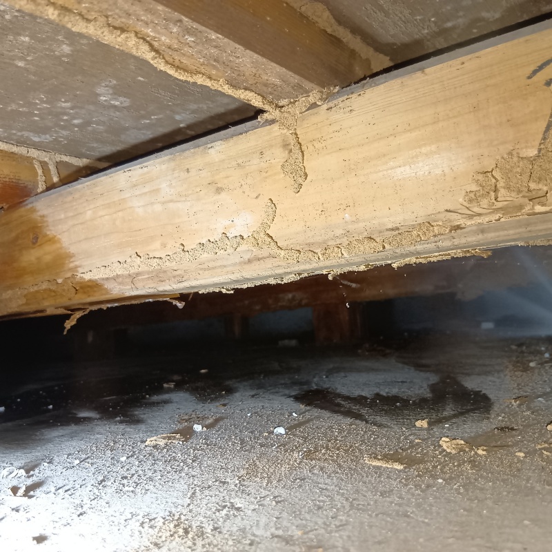 床下の木材に防蟻剤を散布