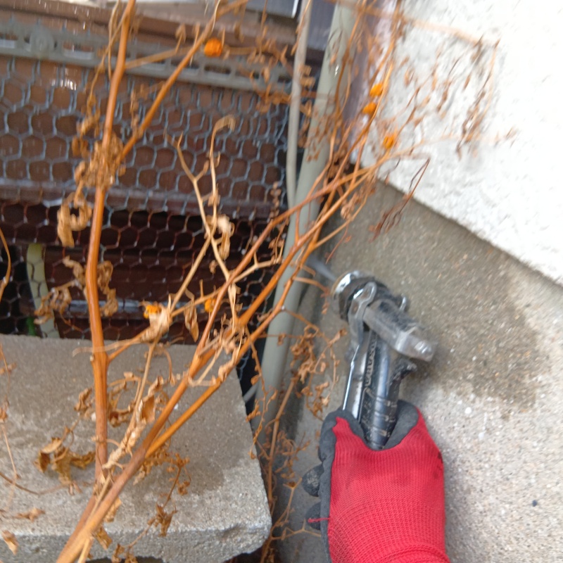 建物外周に防蟻剤を散布