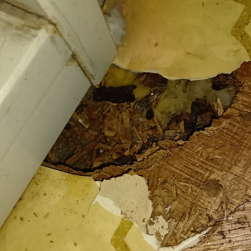 ボロボロになった室内の床