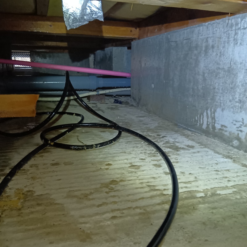 床下の木部処理が完了した様子