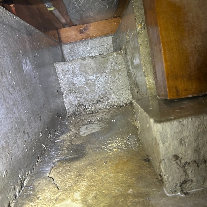 地面への薬剤散布が完了した様子