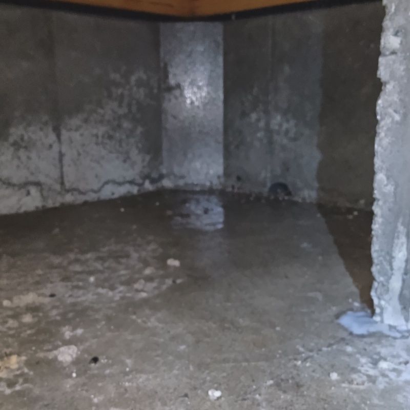 地面への薬剤散布が完了した様子