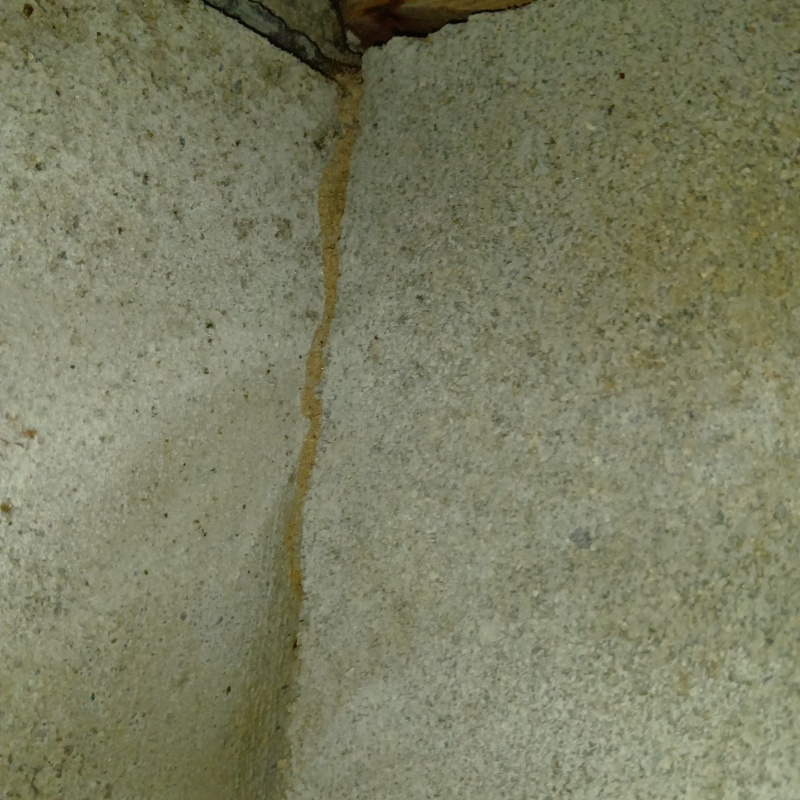 築年数40年のシロアリ駆除の施工事例（愛媛県松山市福角町）