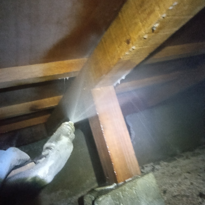 床下の木材にシロアリ駆除剤を散布