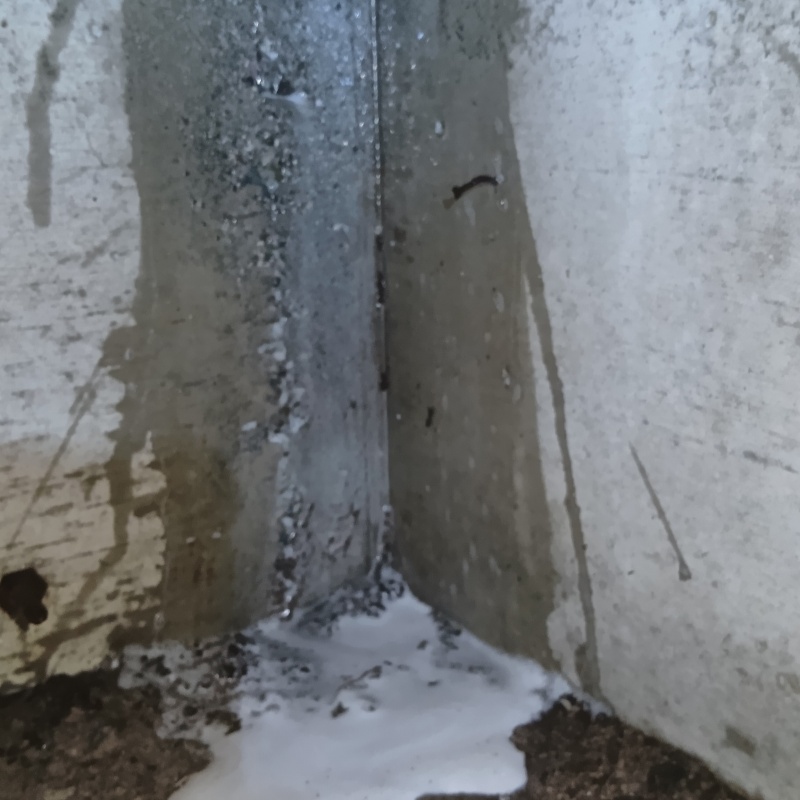 蟻道にシロアリ駆除剤を散布した様子