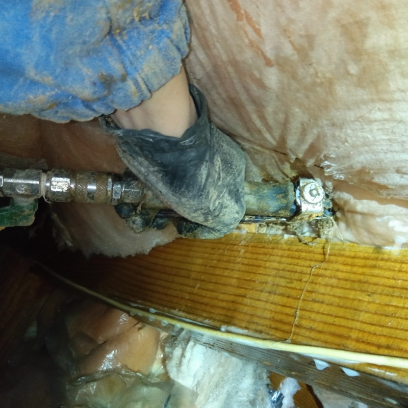 畳にシロアリ駆除剤を散布