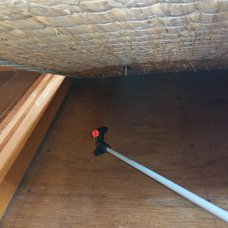 畳下の床にシロアリ駆除剤を散布