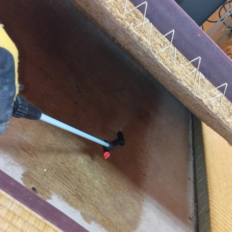 畳下の床にシロアリ駆除剤を散布