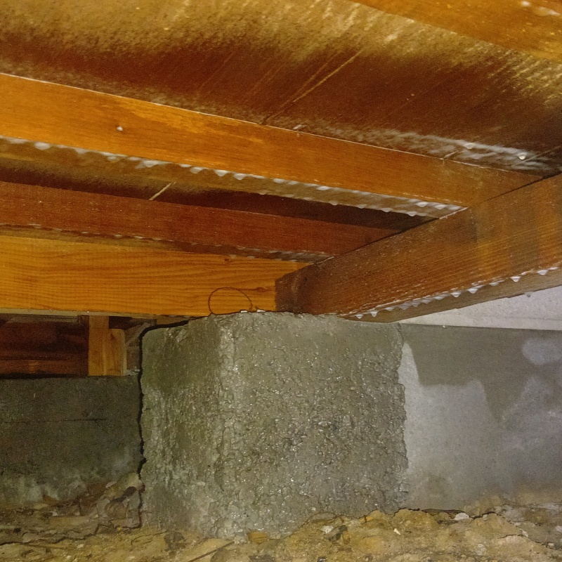 木部処理が完了した様子