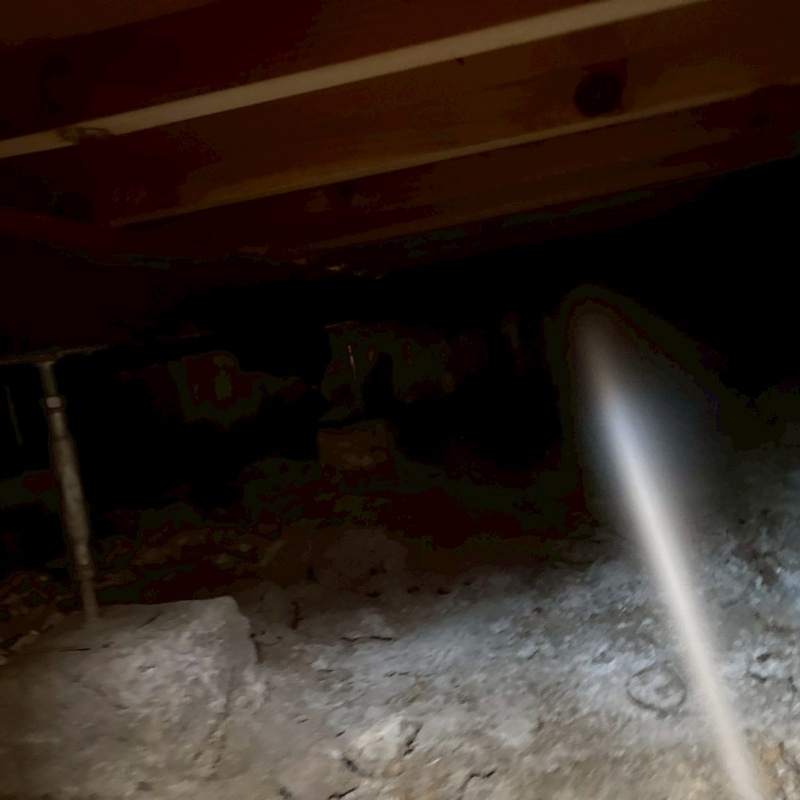 床下の木材にシロアリ駆除剤を散布