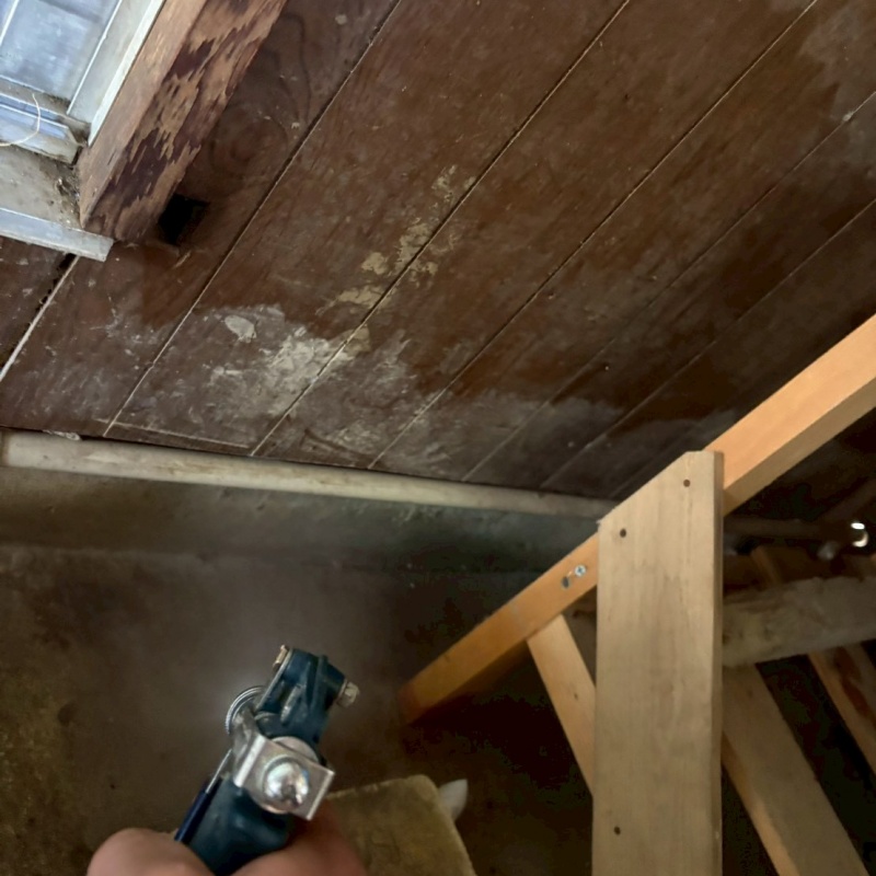 建物外周にシロアリ駆除剤を散布