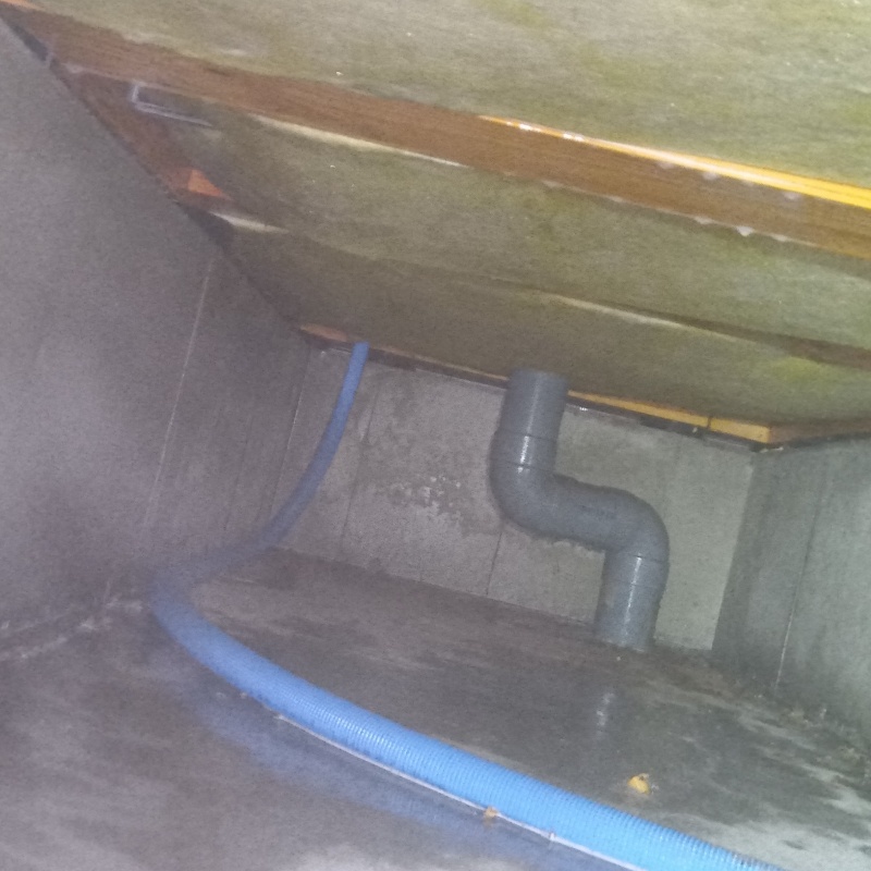 防蟻剤の散布が完了した様子